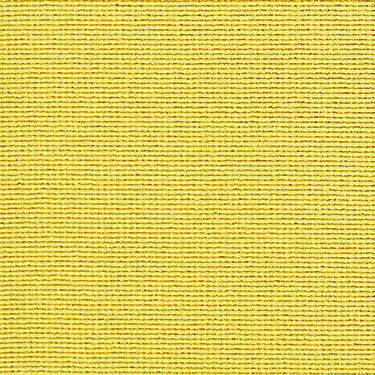 Momentum Loupe Meadow Fabric Swatch Candyland GEO-006