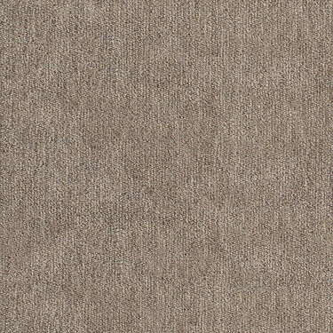 taupe velour textured fabric by Momentum Soho, color Limestone